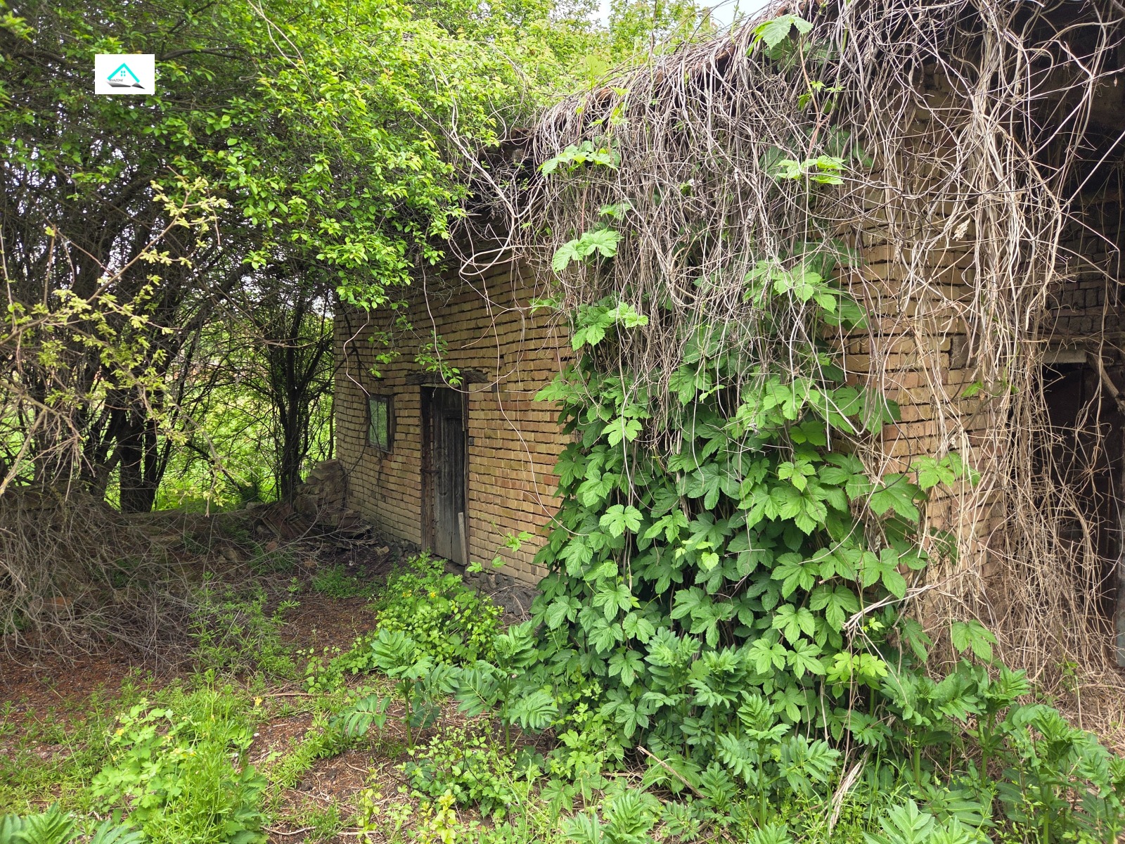 ������� ���� | Imot.bg � ����������� 13