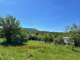 Verhaallijn Tontsjevtsi, Gabrovo