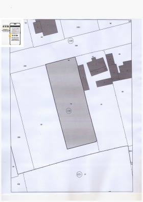 ����� ������� ������,���� ������, �����