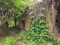 Продава КЪЩА, с. Сломер, област Велико Търново, снимка 13