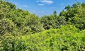 Продава ПАРЦЕЛ, област Велико Търново, гр. Елена • 12900 € • 69858230 — Holmes.bg