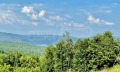 Продава ПАРЦЕЛ, област Велико Търново, гр. Елена • 12900 € • 69858230 — Holmes.bg