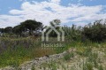 Продава ПАРЦЕЛ, Гърция, Халкидики • 1450000 € / 2835953.50 лв. • 31891513 11