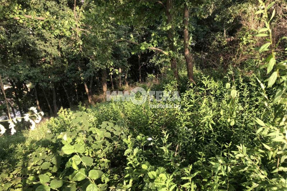 Продава ПАРЦЕЛ | Imot.bg — изображение 9