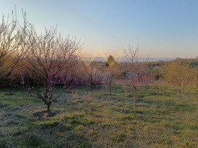 Cselekmény Zvezdica, Varna 3