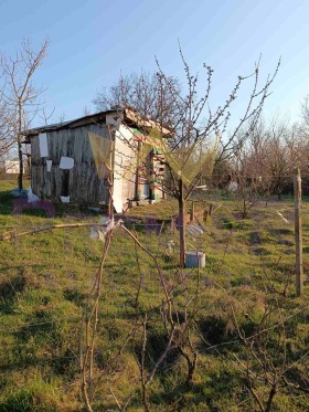 Cselekmény Zvezdica, Varna 5