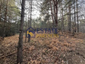 ������� ������ | Imot.bg � ����� ������ 2