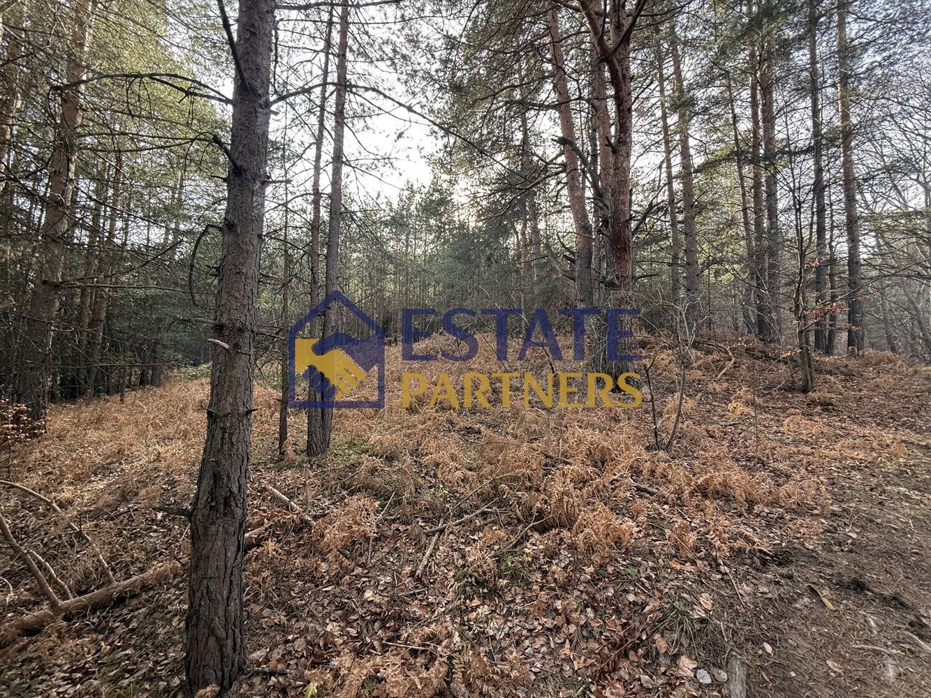 Продава ПАРЦЕЛ, с. Бойково, област Пловдив, снимка 2 - Парцели - 52854902
