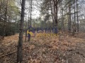 Продава ПАРЦЕЛ, с. Бойково, област Пловдив, снимка 2