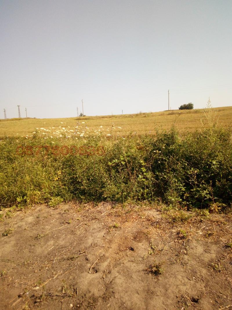 ������� ���������� ���� | Imot.bg � ����������� 8