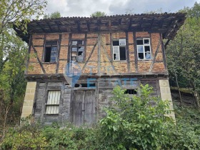 Hus Palitsi, region Veliko Tarnovo 1