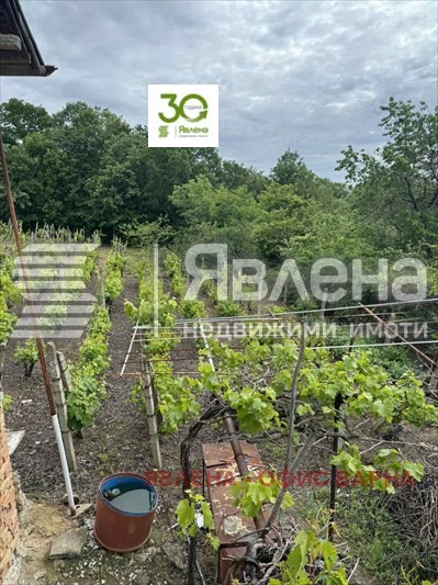 Till salu  Hus region Varna , Osenovo , 550 kvm | 34936077 - bild [12]