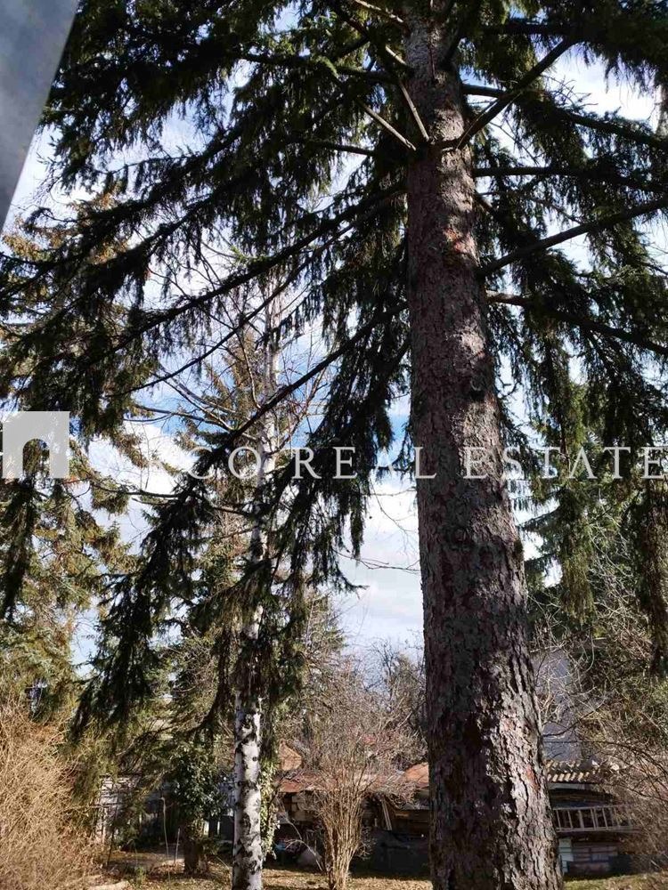 Продава КЪЩА, гр. София, Симеоново, снимка 12 - Къщи - 52659580