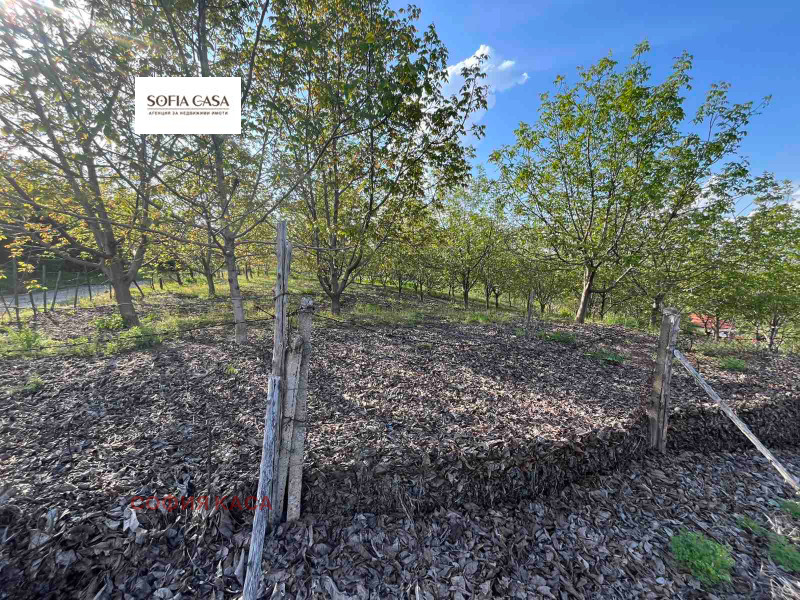 Продава  Парцел, област Враца, гр. Козлодуй • 26 300 EUR • ID 57460383 — holmes.bg - [1] 