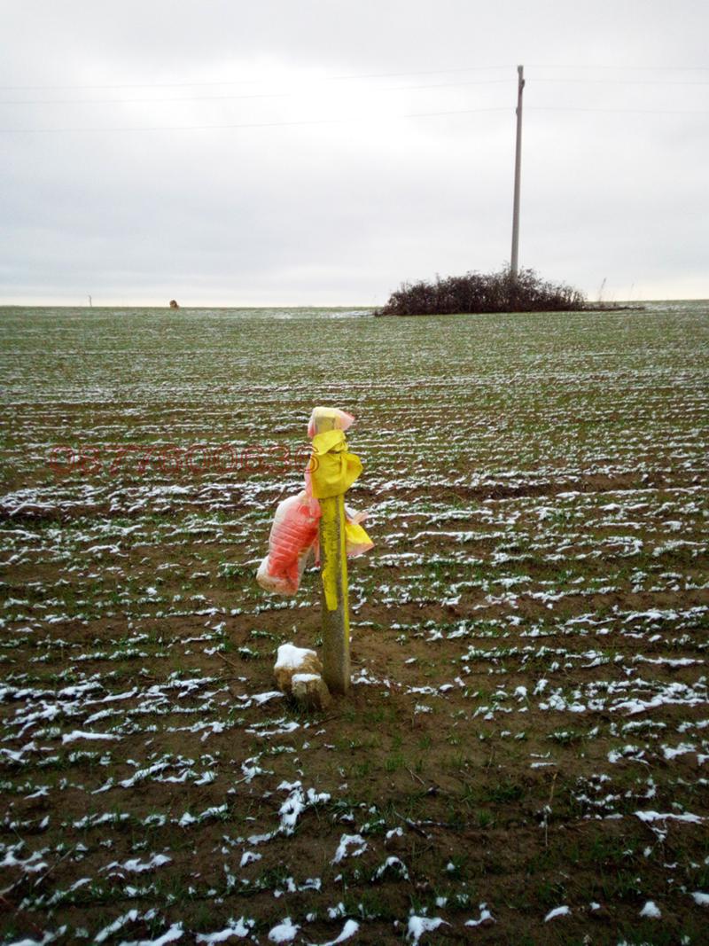 Продава ЗЕМЕДЕЛСКА ЗЕМЯ, с. Близнаци, област Варна, снимка 2 - Земеделска земя - 53481081