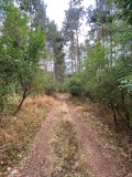 Продава ВИЛА, град София, с. Подгумер • 65000 € • 21805746 — Holmes.bg