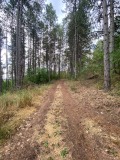 Продава ВИЛА, град София, с. Подгумер • 65000 € • 21805746 — Holmes.bg