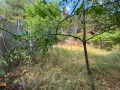 Продава ВИЛА, град София, с. Подгумер • 65000 € • 21805746 — Holmes.bg