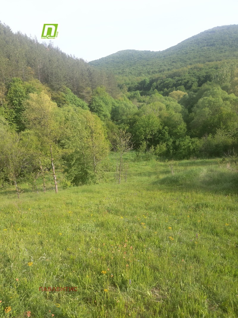 À venda  Trama região Sófia , Lopuchnia , 2475 m² | 96520435 - imagem [5]