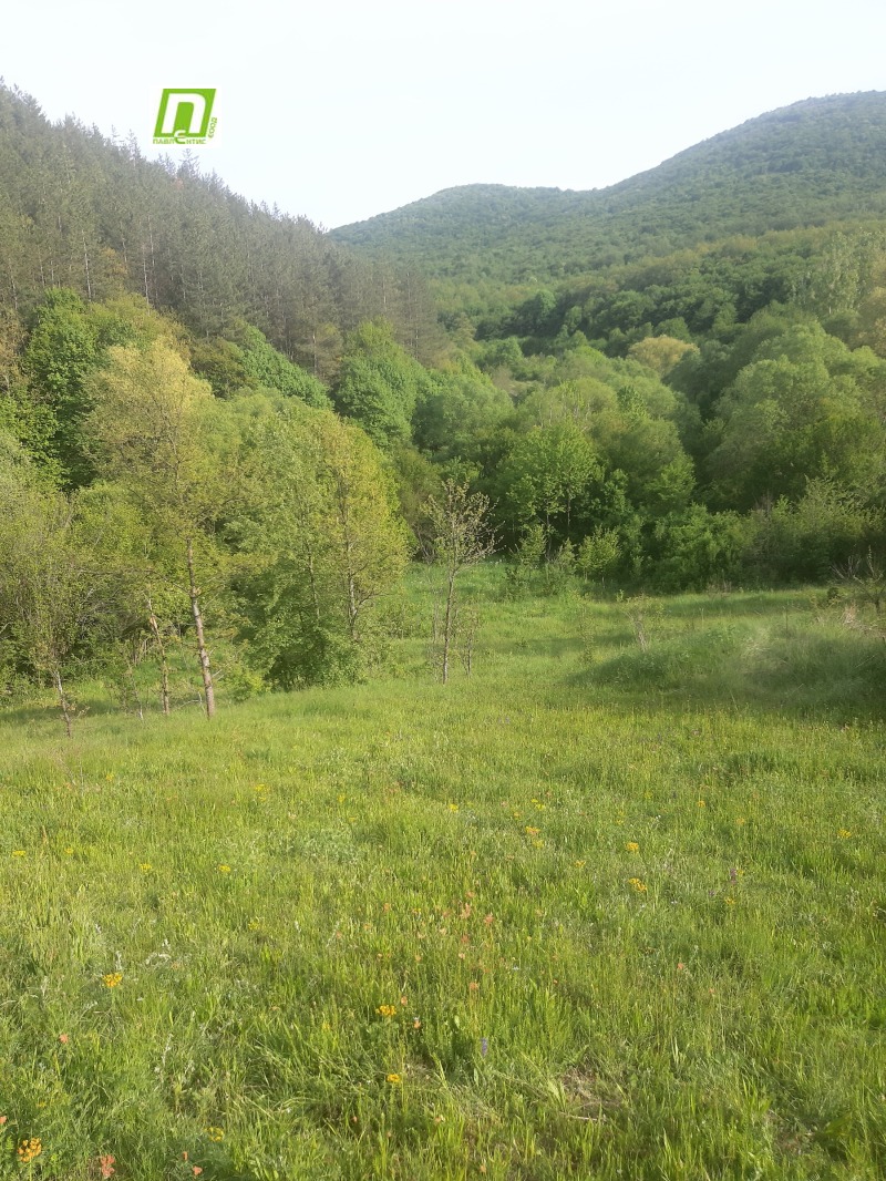 À venda  Trama região Sófia , Lopuchnia , 2475 m² | 96520435 - imagem [3]