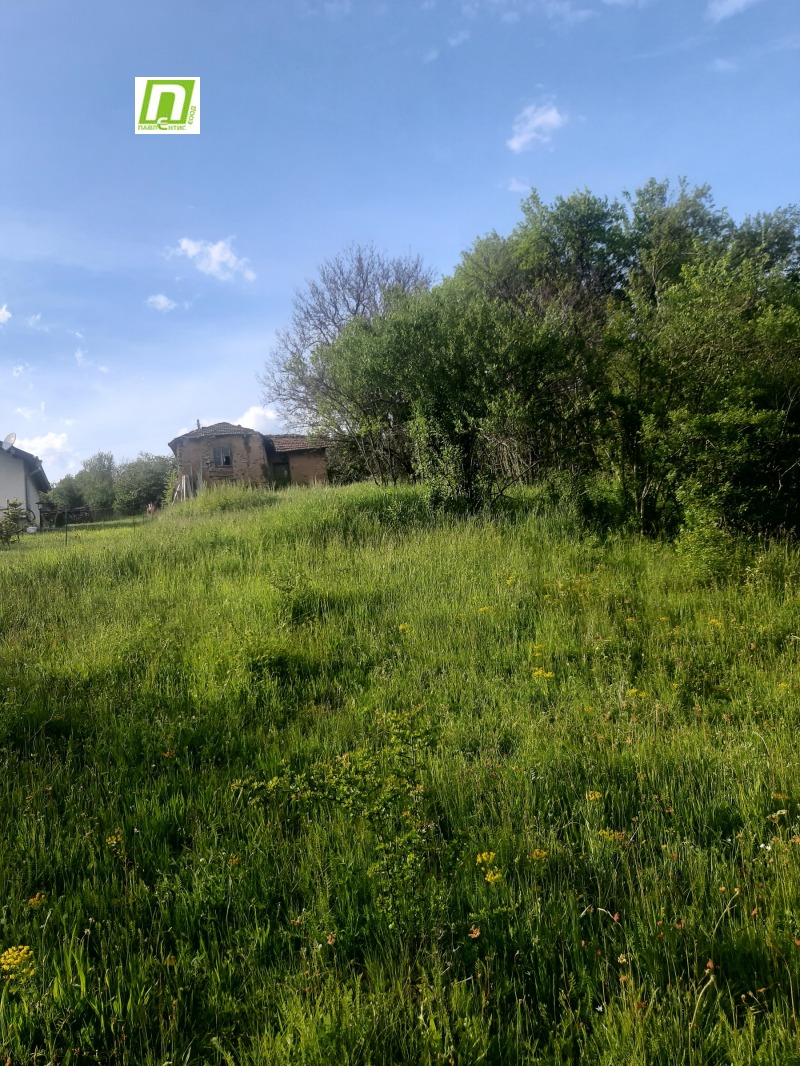 À venda  Trama região Sófia , Lopuchnia , 2475 m² | 96520435 - imagem [6]