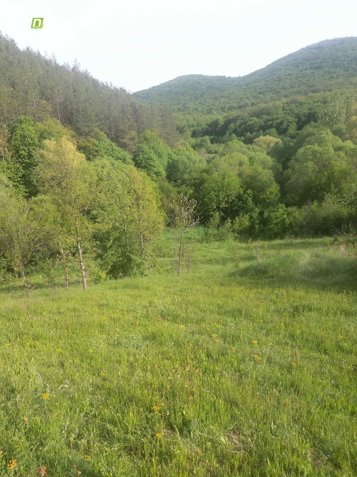 Продава ПАРЦЕЛ, с. Лопушня, област София област