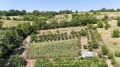 Продава ПАРЦЕЛ, област Русе, с. Мечка • 17300 € / 33835.86 лв. • 76387638 4