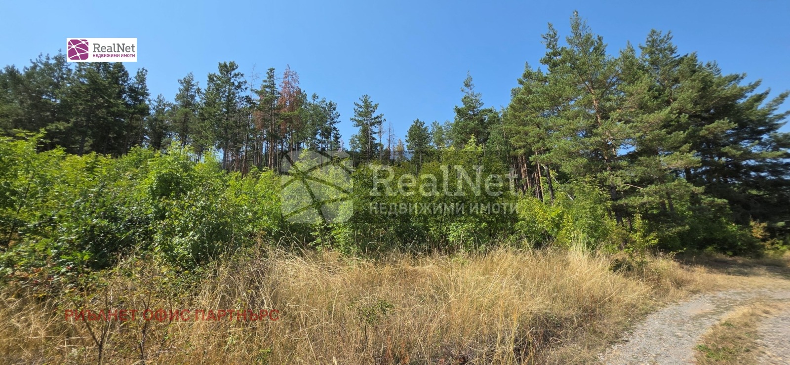 ������� ������ | Imot.bg � ����������� 7