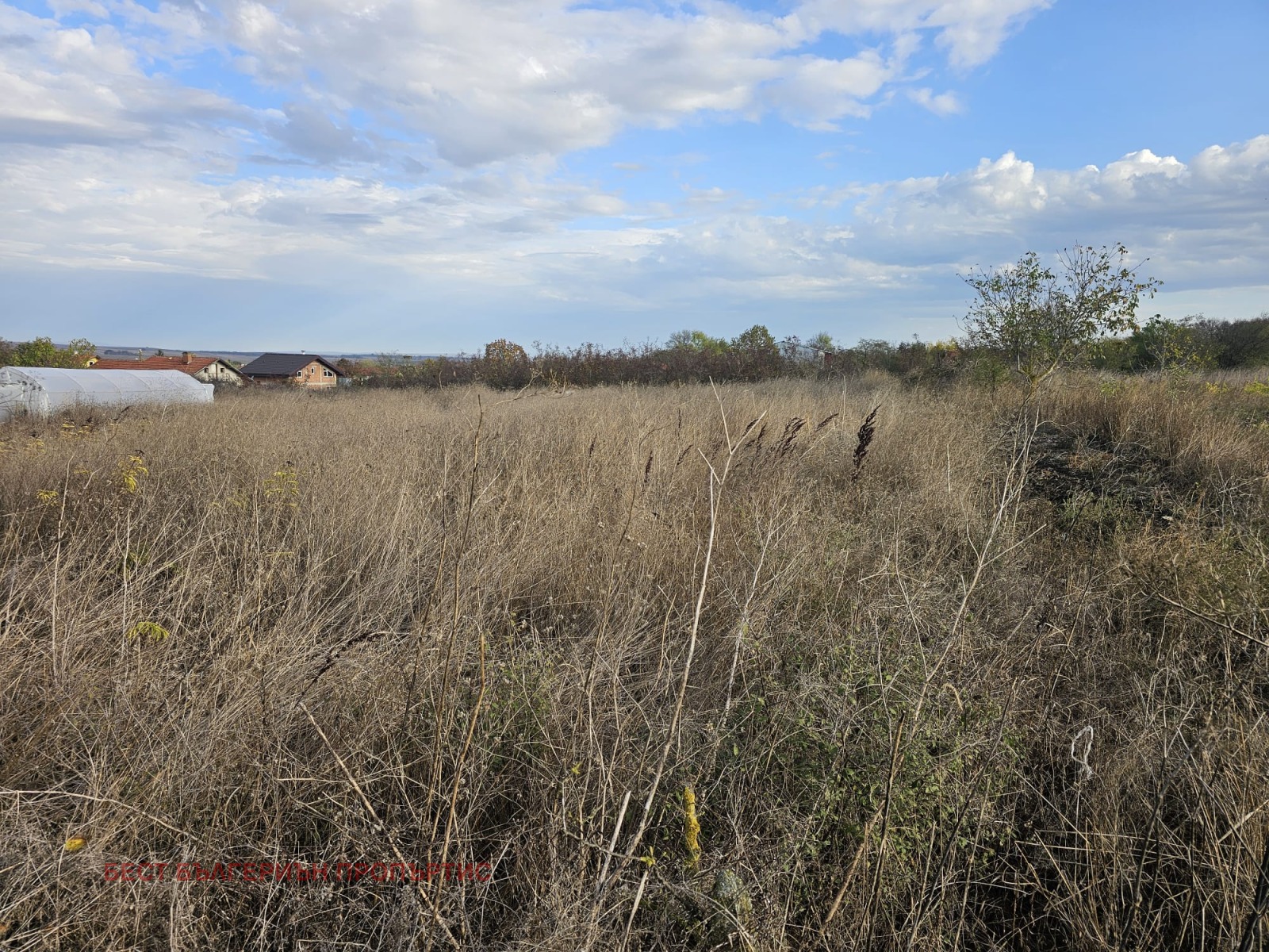 ������� ������ | Imot.bg � ����������� 8
