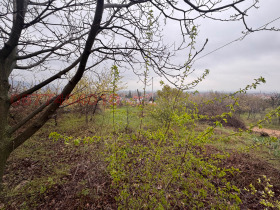 ������� ���� | Imot.bg � ����� ������ 11