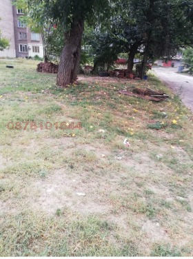 ����� ������� ������,���� �����, ���� ����