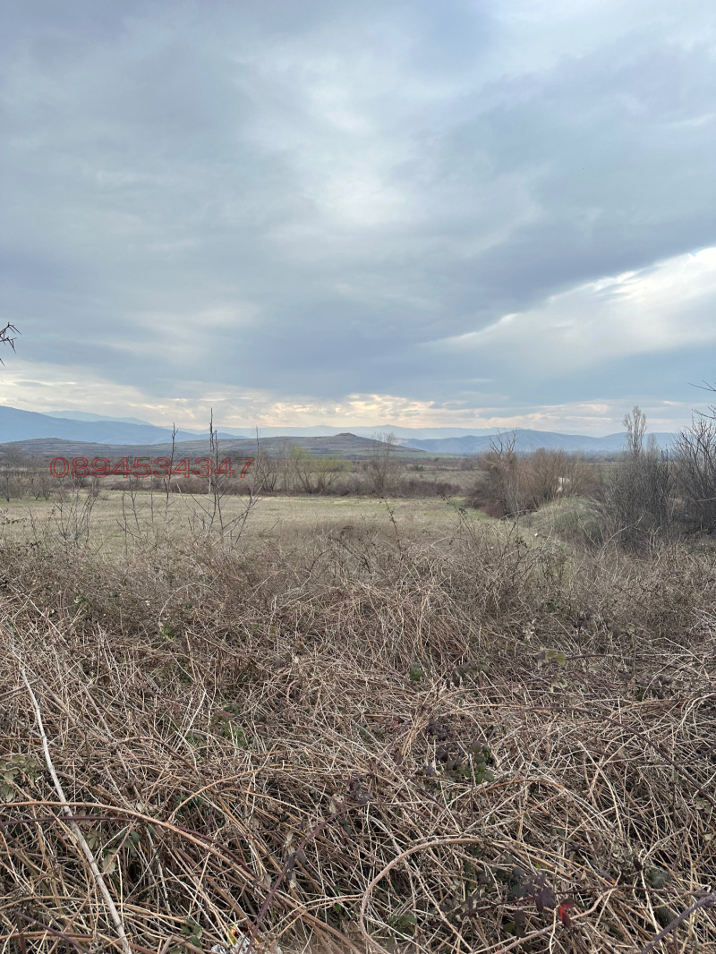 Продава ПАРЦЕЛ, гр. Перущица, област Пловдив, снимка 2 - Парцели - 53137239