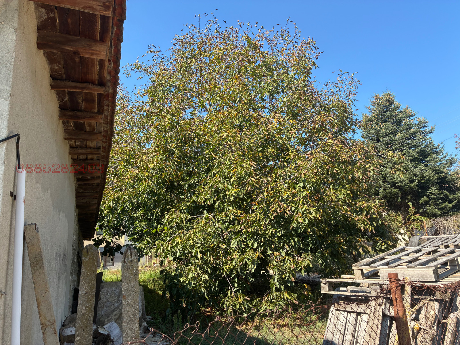 Продава КЪЩА, с. Осеново, област Варна, снимка 3 - Къщи - 56150178