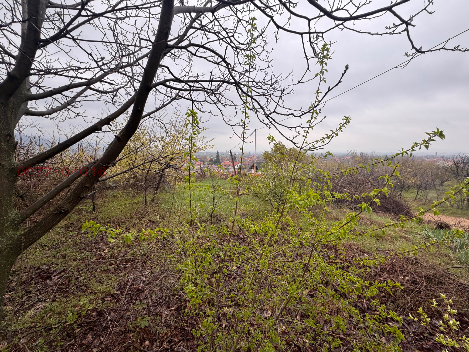 Продава ВИЛА, с. Ветрен дол, област Пазарджик, снимка 11 - Вили - 54359865