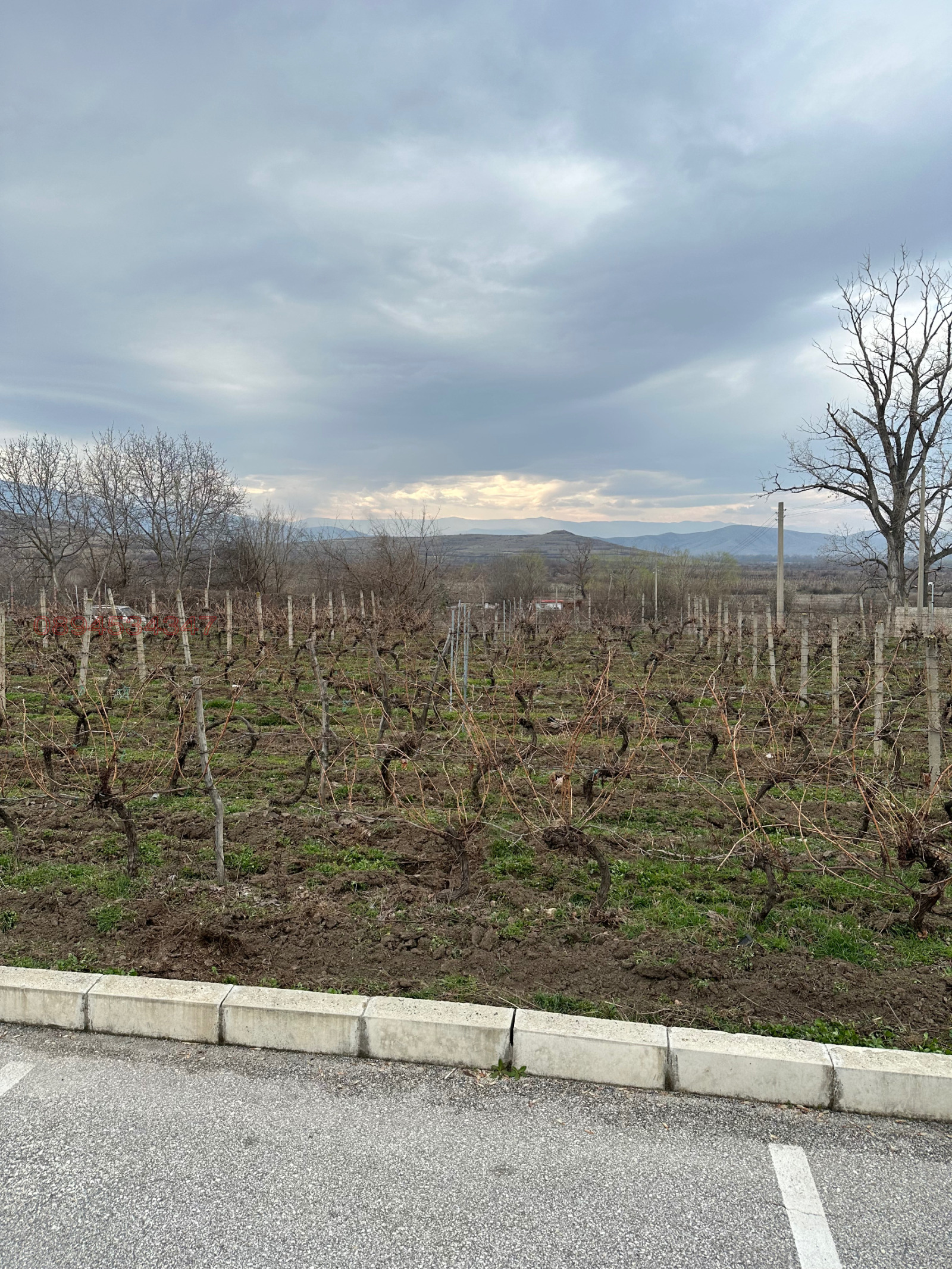 Продава ПАРЦЕЛ, гр. Перущица, област Пловдив, снимка 6 - Парцели - 54373517