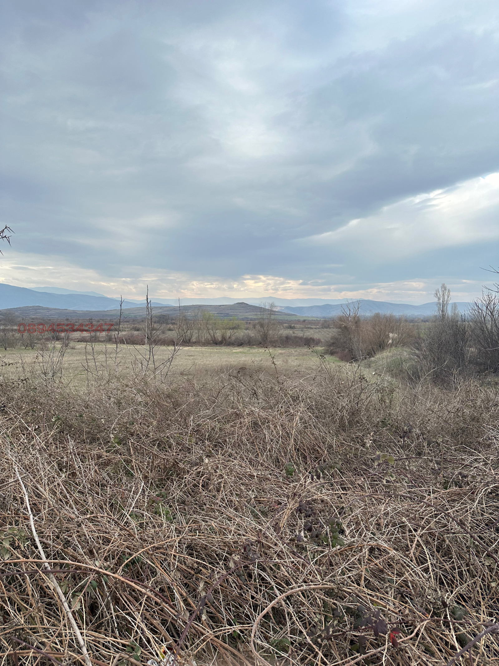 Продава ПАРЦЕЛ, гр. Перущица, област Пловдив, снимка 2 - Парцели - 54373517