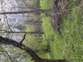 Продава КЪЩА, с. Голяма Желязна, област Ловеч, снимка 2