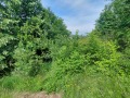 Продава ПАРЦЕЛ, гр. Велико Търново, Бузлуджа, снимка 2