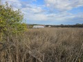 Продава ПАРЦЕЛ, област Бургас, с. Дюлево • 19800 € • 53210659 2