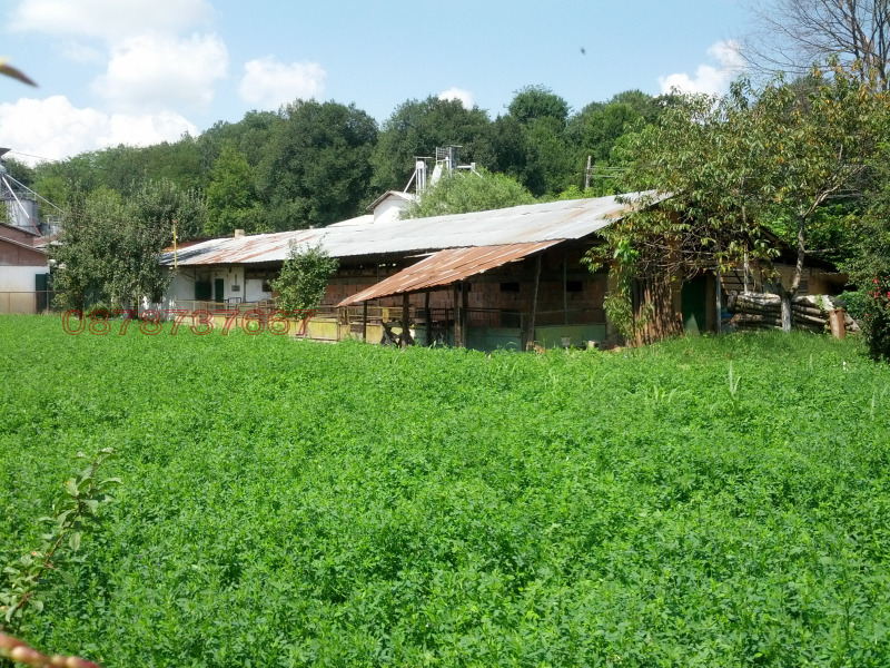 Продава ПРОМ. ПОМЕЩЕНИЕ, гр. Монтана, Пъстрина