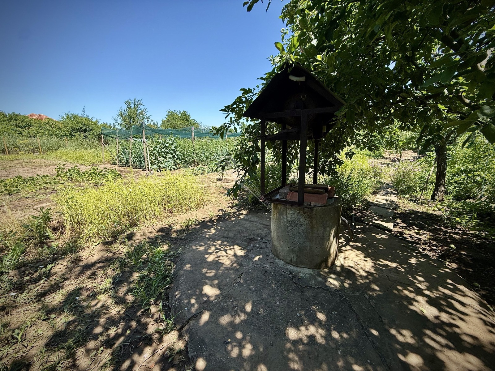 Продава КЪЩА, с. Павел, област Велико Търново, снимка 5 - Къщи - 55229996