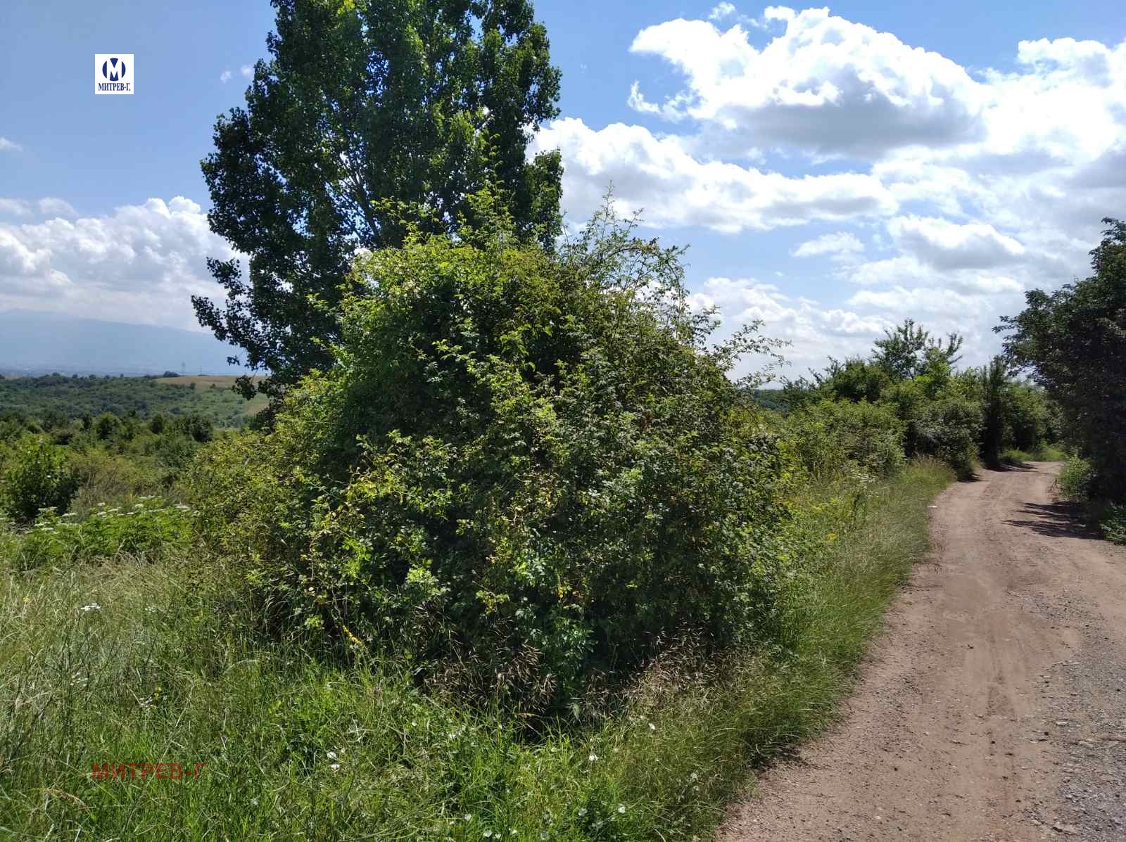 Продава ПАРЦЕЛ, гр. София, с. Кътина, снимка 4 - Парцели - 56277022