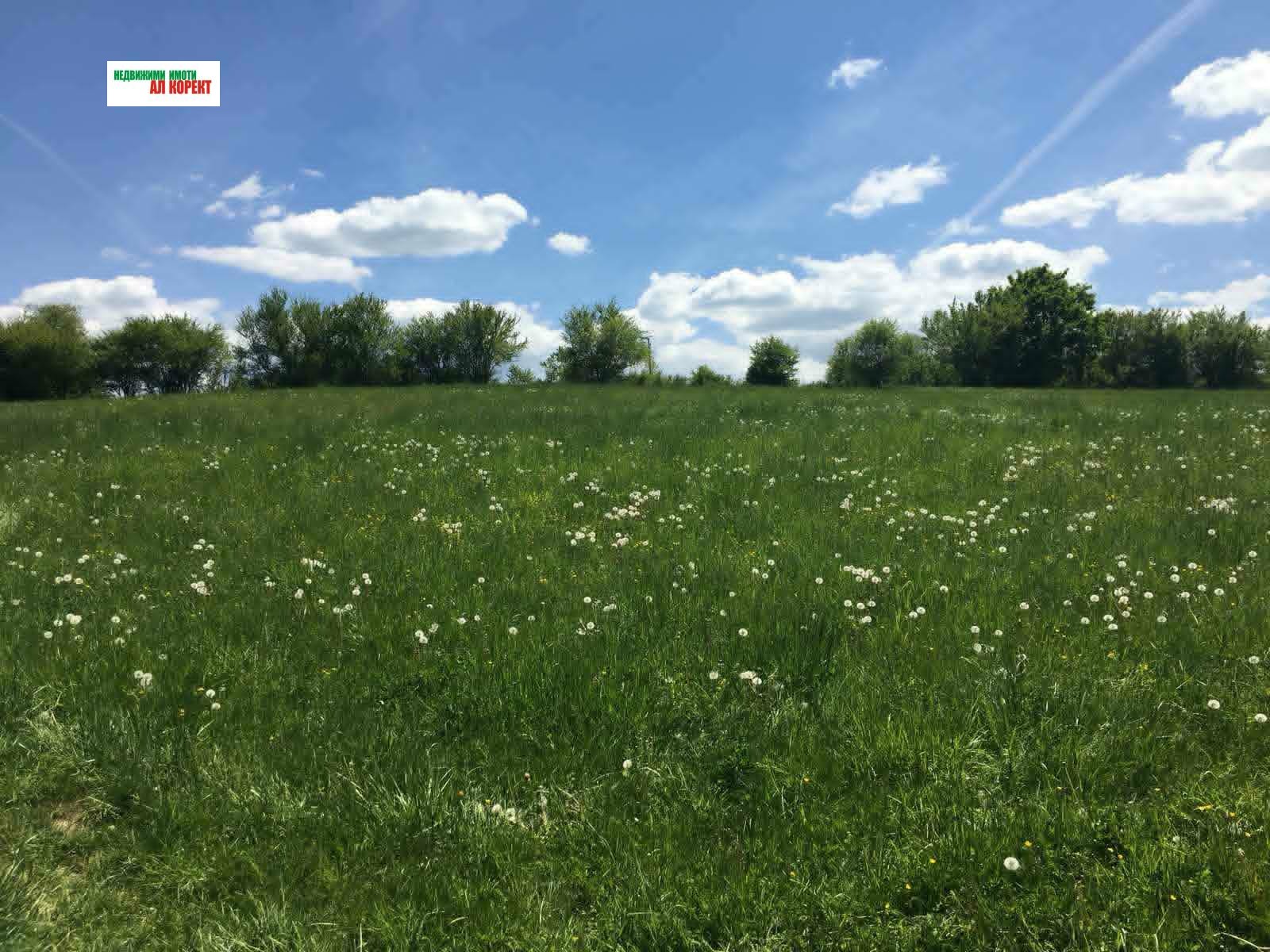 Продава ПАРЦЕЛ, гр. Елена, област Велико Търново, снимка 4 - Парцели - 55008095