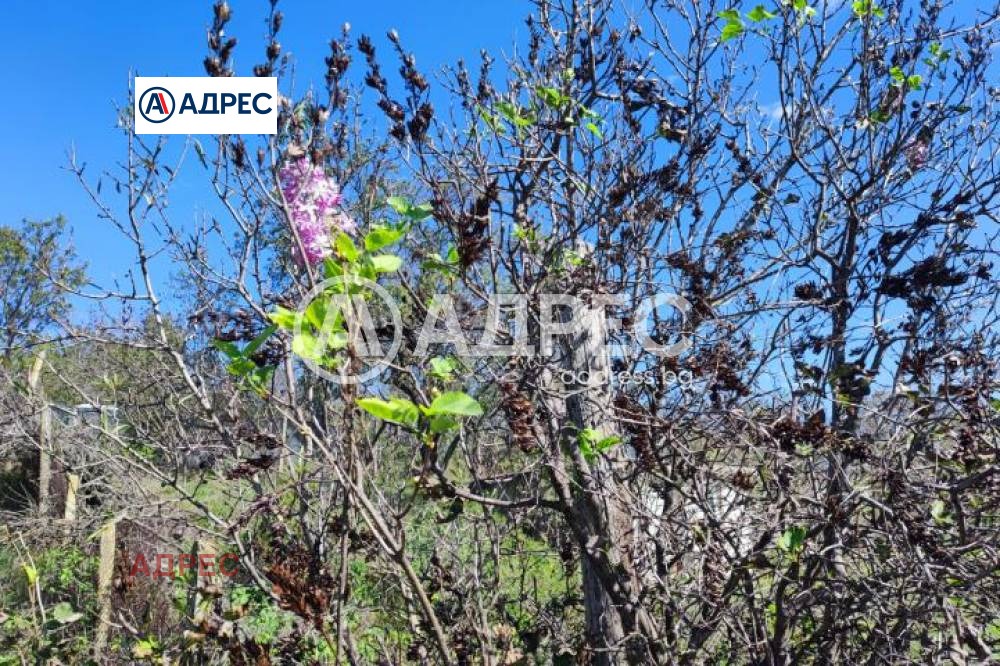 ������� ������ | Imot.bg � ����������� 2