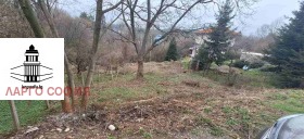 ����� ������� ������,���� �����, �������