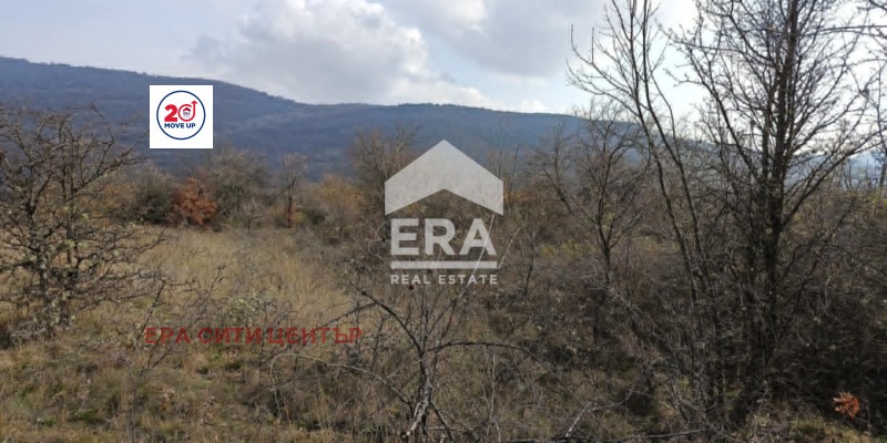 Продава ПАРЦЕЛ, с. Ново село, област Стара Загора, снимка 2 - Парцели - 55845495