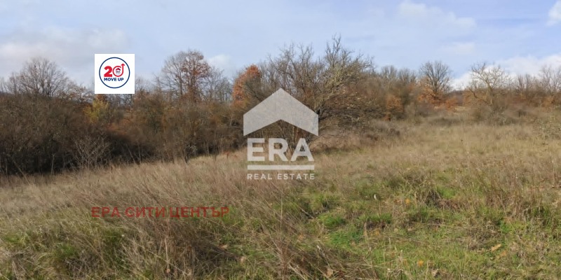 Продава ПАРЦЕЛ, с. Ново село, област Стара Загора, снимка 4 - Парцели - 55845495