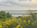 Продава 2-СТАЕН, гр. Бургас, Сарафово, снимка 4