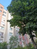 Продава 2-СТАЕН, гр. Благоевград, Струмско, снимка 4