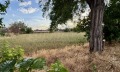 Продава ПАРЦЕЛ, област Пловдив, гр. Съединение • 65000 € / 127128.95 лв. • 62943393 1